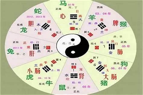 五行 木 字|五行汉字属性查询